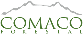 2 comaco forestal